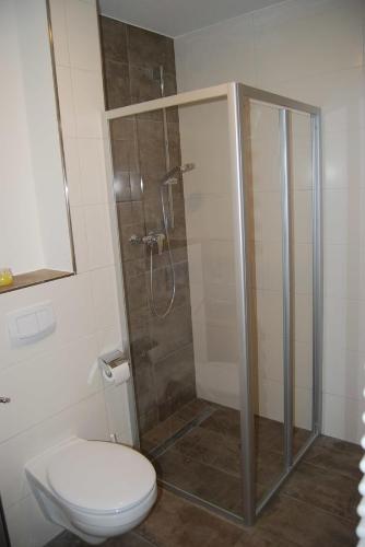 a bathroom with a shower and a toilet at Haus Adria in Schleswig
