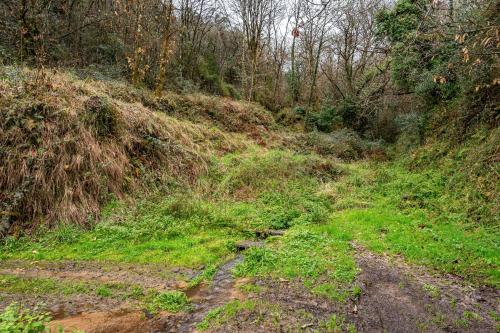 a dirt road in a field with grass and trees at El Bosque in Candamo