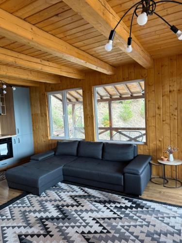 a living room with a black couch and a rug at Panoramic House in Mărişel