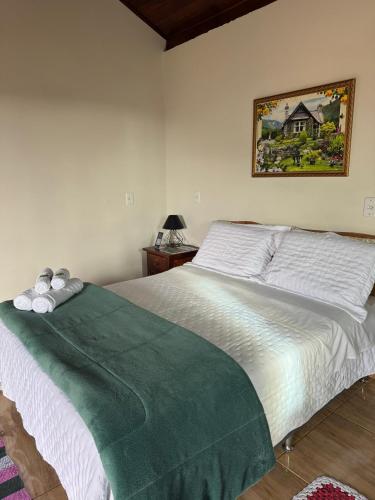 a bedroom with a bed with a green blanket on it at Chalé Pico da Lua in Gonçalves