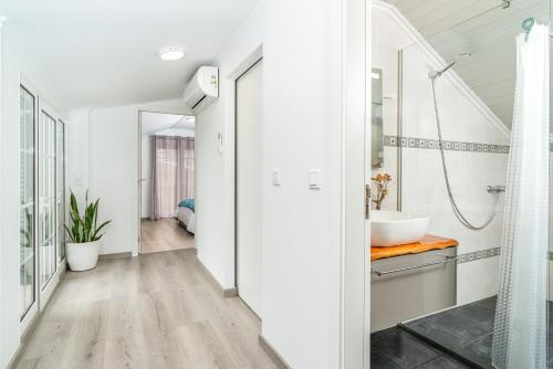 een badkamer met wastafel en douche bij Barreiro View in Ribeira Brava