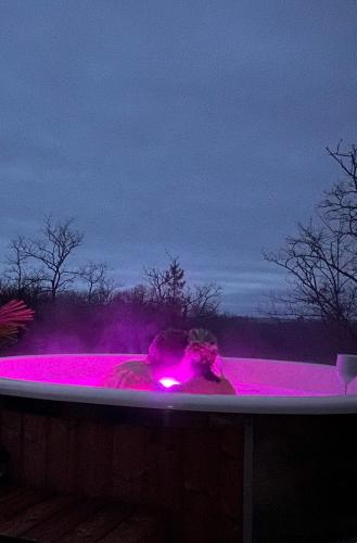 Hébergement insolite avec vue imprenable