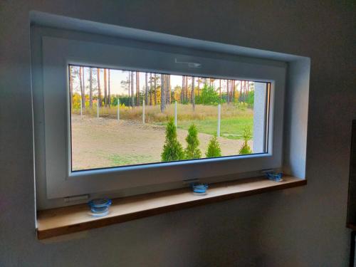 a window in a room with a plant at Sielsko Anielsko -Domki Swornegacie in Swornegacie 