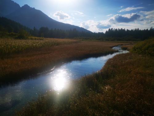 a river with the sun reflecting in the water at Apartma Confine in Rateče