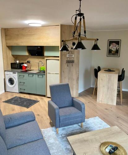 Virtuvė arba virtuvėlė apgyvendinimo įstaigoje Apartment Ness1