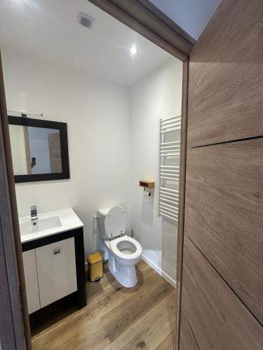 a bathroom with a toilet and a sink and a mirror at La Calypso de Paimpol in Paimpol