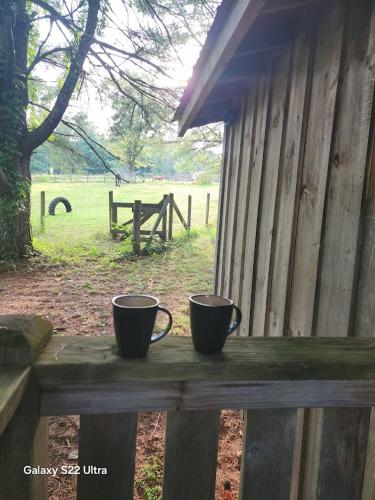 two cups sitting on top of a wooden bench at True West Campground in Jamestown