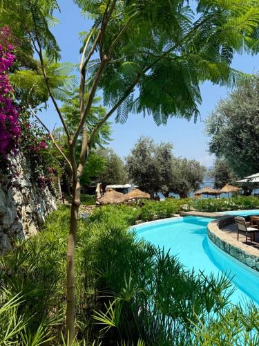 Swimmingpoolen hos eller tæt på Z-Villas Beach Hotel