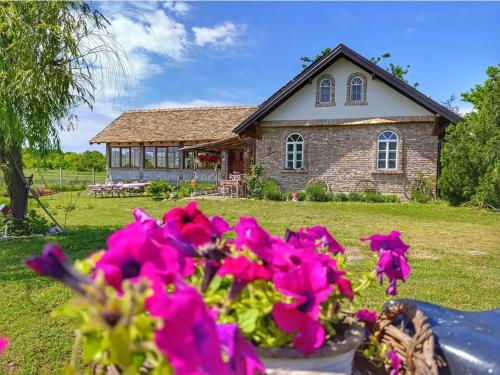 a house with pink flowers in front of it at Tetrebov salas in the peaceful fields in Futog