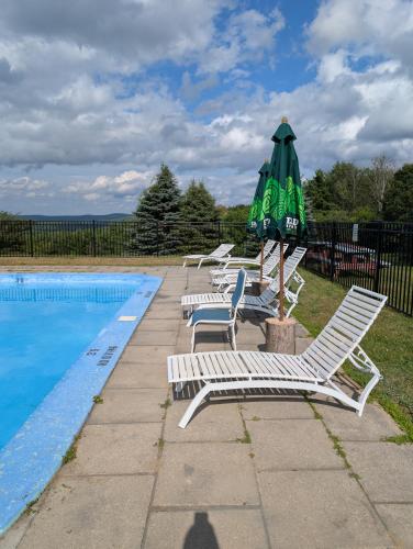 Bazén v ubytování Blue Bear inn nebo v jeho okolí