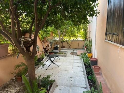 a garden with a tree and a stone walkway at Casa Ariel in Avola