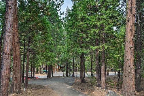 a dirt road through a forest of trees at Game Room and Deck Pet-Friendly Camp Connell Cabin in Camp Connell