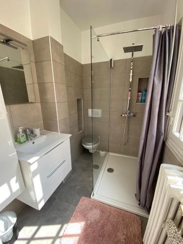 une salle de bain avec une douche, des toilettes et un lavabo dans l'établissement Moderne, terrasse et climatisé, Proche plage, spacieux, à Antibes