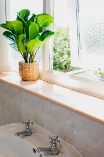 a bathroom sink with a potted plant on a window sill at An entire 3 Bedroom house in Beeston United Kingdom in Beeston