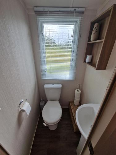 a small bathroom with a toilet and a sink at Green Heaven at Clarach Bay Spacious 3 BedPet Friendly Luxury Steps from the Sea in Aberystwyth