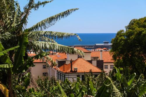 Foto dalla galleria di FX Pena a Funchal