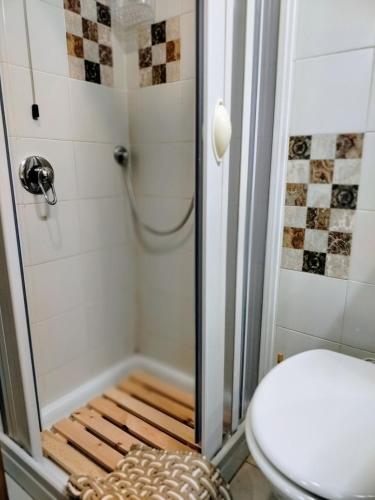 a shower stall with a toilet in a bathroom at Casa Graziella Piccolo Pied à terre nel Castello di Palazzo d'Assisi in Palazzo