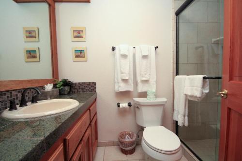 a bathroom with a toilet and a sink and a shower at Mountainback #117, Loft in Mammoth Lakes