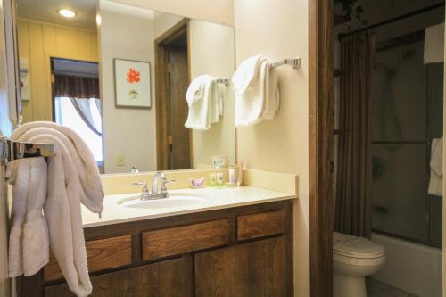 a bathroom with a sink and a toilet and a mirror at Discovery 4 137 in Mammoth Lakes