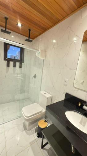 a bathroom with a toilet and a sink and a shower at Vila Chamonix - Chalé Merlot in Urubici