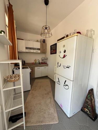 a kitchen with a white refrigerator with stickers on it at Deaf Valley Apartment 2 in Reljići