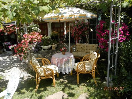 Taman di luar Ilona Kis Kastély Panzió