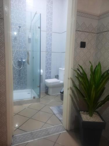 a bathroom with a shower and a toilet and a plant at Family House in Nador
