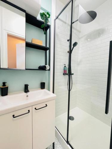 a bathroom with a shower and a white sink at Provins au coeur du quartier historique - Charmant studio pour 2 in Provins