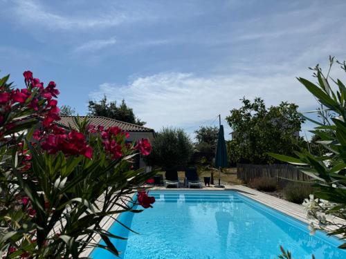 - une piscine dans une cour ornée de fleurs roses dans l'établissement Villa Bella, à Champcevinel