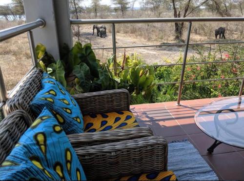 Balkón nebo terasa v ubytování Sunbirds Lodge Chobe