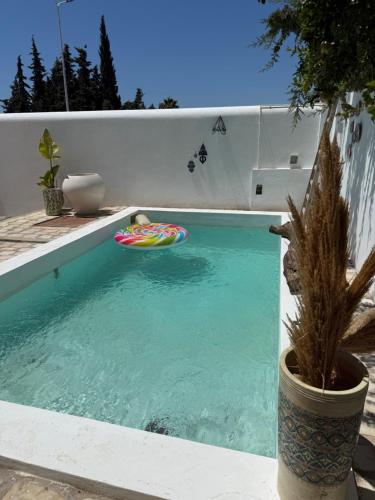 Hammamet NordにあるKefia houseの水中にフリスビーがあるプール