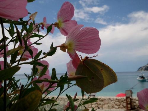 Paesaggio naturale nelle vicinanze dell'appartamento