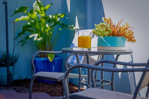 a table with two plants and a glass of orange juice at Marina Beach Motel in Santa Barbara