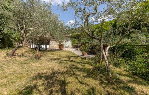 a garden with trees and a walk way at Awesome Apartment In Castelfranco Piandiscò in Castelfranco Piandisco