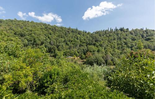 a mountain covered in trees with a blue sky at Awesome Apartment In Castelfranco Piandiscò in Castelfranco Piandisco