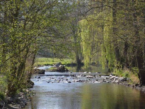 a river with rocks in the middle of a forest at Luxurious Farmhouse in Falaen with Sauna in Maredsous