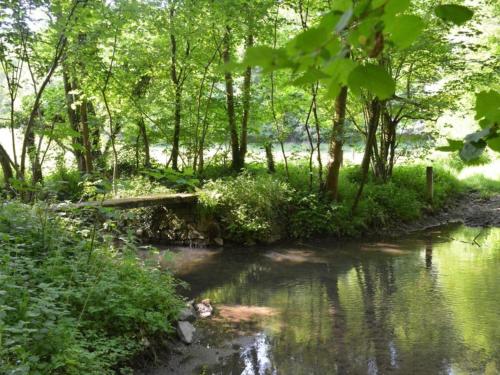 a stream in a forest with a bridge over it at Luxurious Farmhouse in Falaen with Sauna in Maredsous