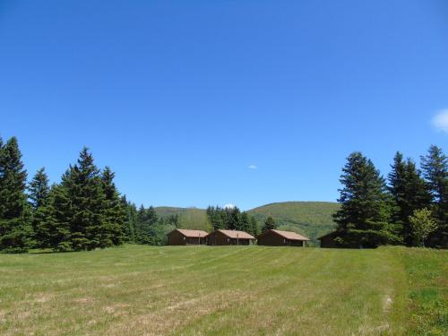 a grassy field with a group of buildings in the distance at Cajun Cedar Log Cottages in Margaree Forks