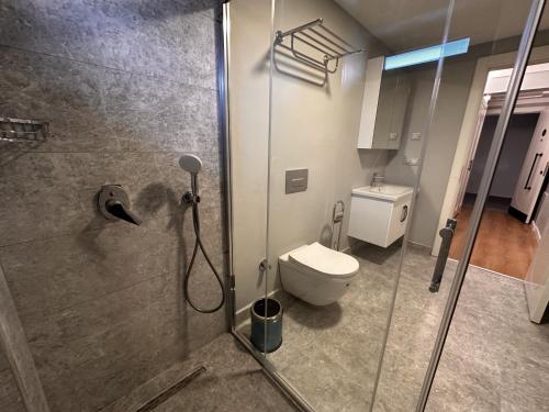 a bathroom with a shower and a toilet at OTTO Tunalı Houses in Ankara