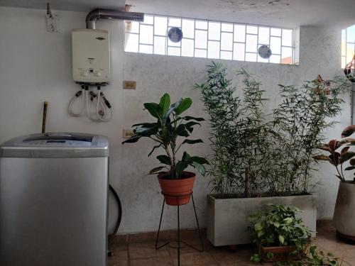 a kitchen with potted plants and a sink at Vega Residencies in San Nicolás