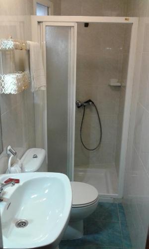 a bathroom with a shower and a toilet and a sink at Hostal Continental in Vigo