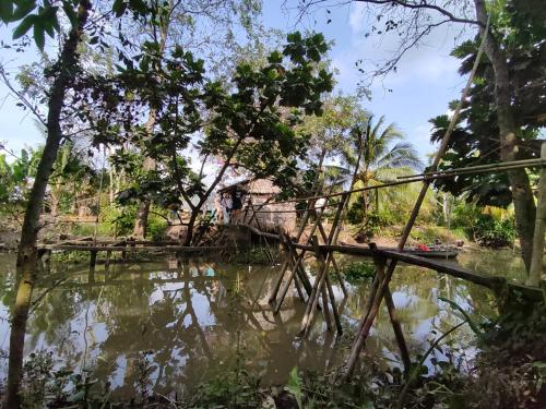 a bridge over a river in the jungle at Dorm bed in center with balcony, rooftop and floating market tour by ADORA in Can Tho