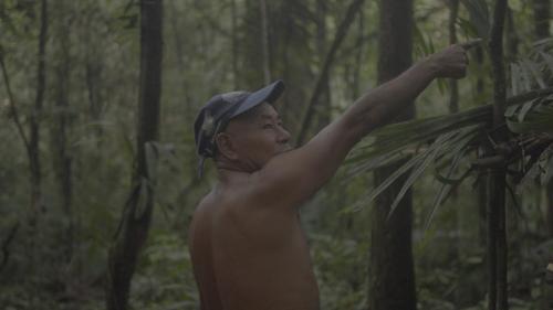 Tetamu yang menginap di Resguardo indigena Yagua
