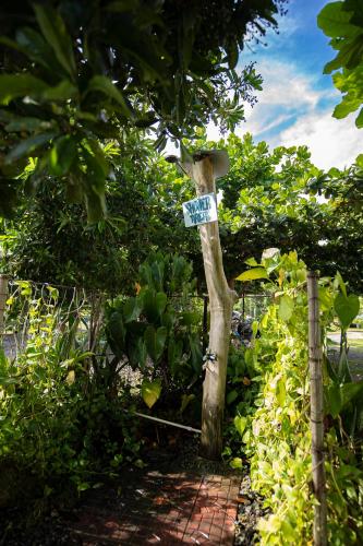 a tree with a sign on it in a garden at Ana-as Apartelle (GGL) in Panglao