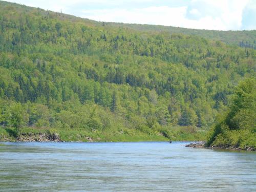 a river in front of a mountain with trees at Cajun Cedar Log Cottages in Margaree Forks