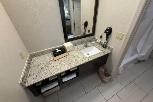 a bathroom with a sink and a mirror at Econo Lodge in Bryan