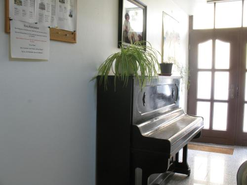 a piano with a potted plant on top of it at Pension Hinz & Kunz in Weimar