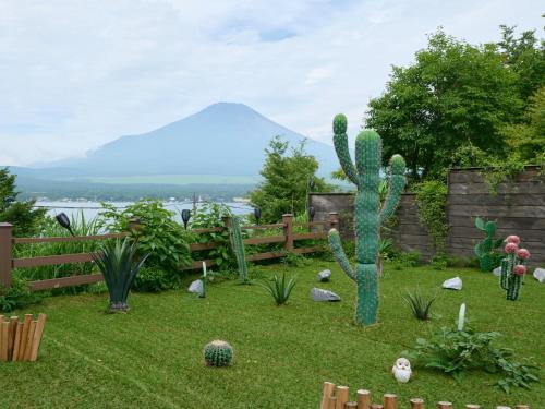 Landskap semula jadi dekat dengan hotel