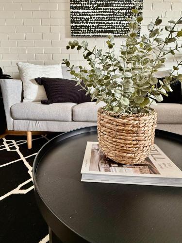 a black coffee table with a potted plant on a table at 508 Light and Delightful 1BR Balcony-Parkng-Pool in Perth