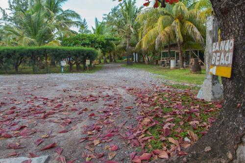 Taman di luar Sea Eye Hotel - Tropical Building